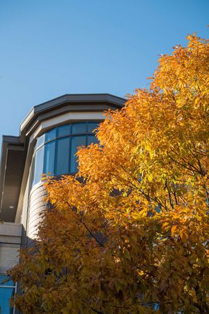 Image post by @southwesternu on Instagram