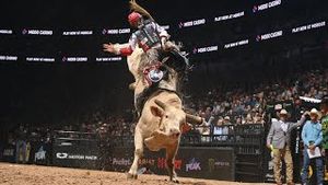 Video post by @pbr on YouTube