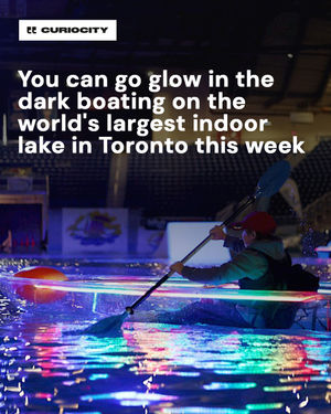 Image post by @curiocitytoronto on Instagram