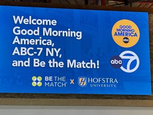 Image post by @hofstrau on Instagram