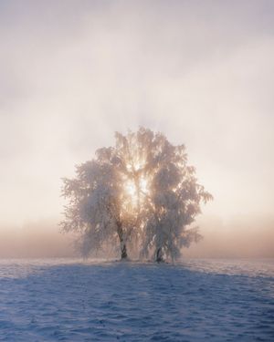 Image post by @vsco on Instagram