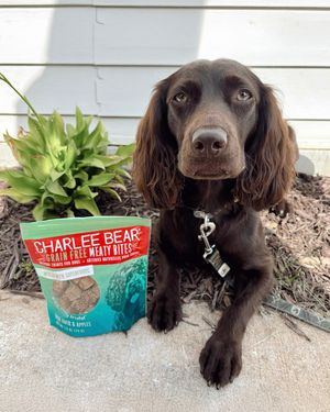 Image post by @charlee_bear_dogtreats on Instagram