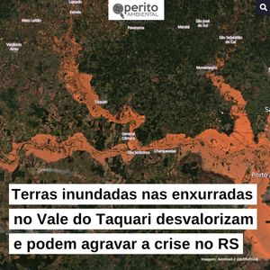 Image post by @operitoambiental on Instagram