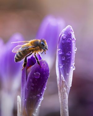 Image post by @sony.deutschland.at on Instagram