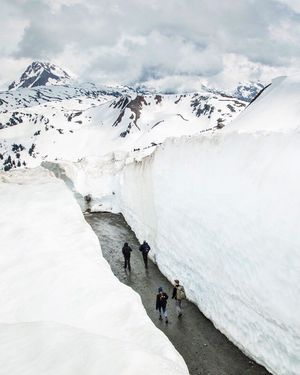 Image post by @whistlerblackcomb on Instagram