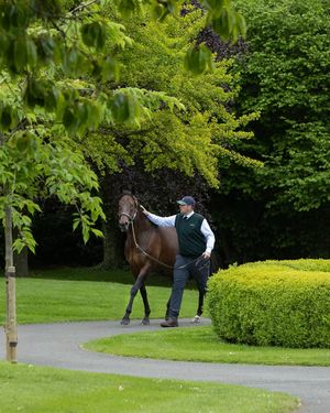 Image post by @juddmonte on Instagram