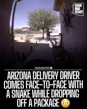 Image post by @downinnadesert on Instagram