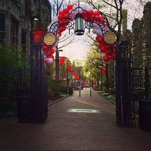 Image post by @templealumni on Instagram