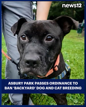 Image post by @news12nj on Instagram