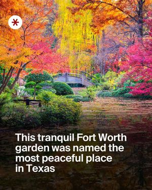 Image post by @secret_dallas on Instagram
