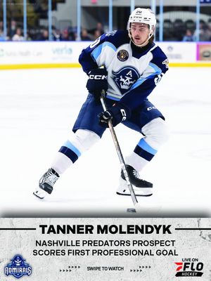 Image post by @flohockey on Instagram