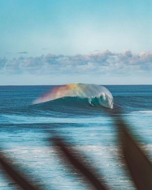 Image post by @waiakea on Instagram