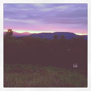 Image post by @davidapnea on Instagram