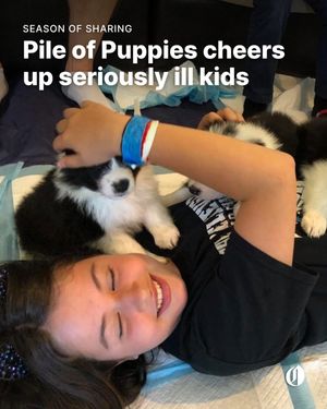 Image post by @theoregonian on Instagram