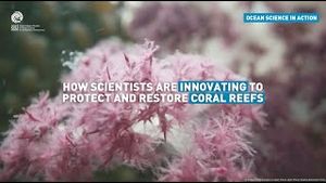 Video post by @unesco on YouTube