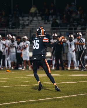 Image post by @fox_ph0t0graphy on Instagram