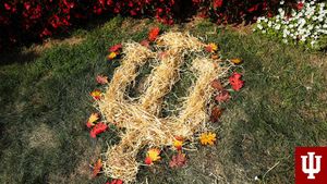 Image post by @IUHoosiers on Twitter