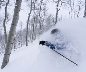 Image post by @pcski on Instagram