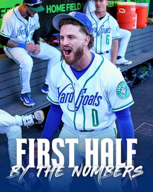 Image post by @hartfordyardgoats on Instagram