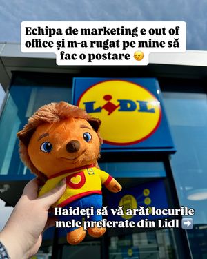 Image post by @lidlromania on Instagram