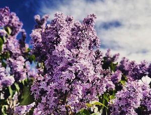 Image post by @skitaos on Instagram
