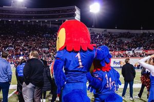 Image post by @kumascots on Instagram