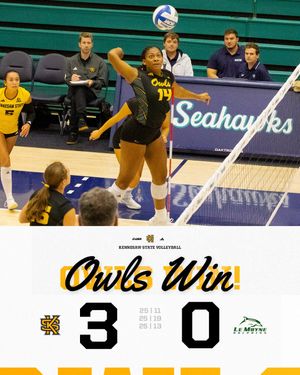 Image post by @ksuowlsvb on Instagram