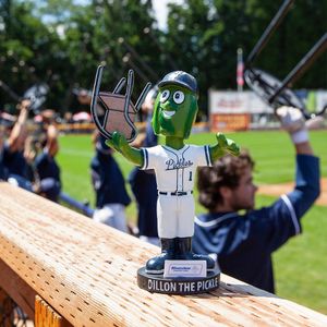 Image post by @picklesbaseball on Instagram
