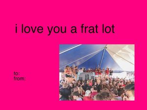 Image post by @southcarolinachicks on Instagram