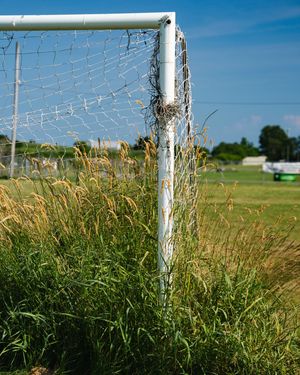 Image post by @adamcosgrove on Instagram