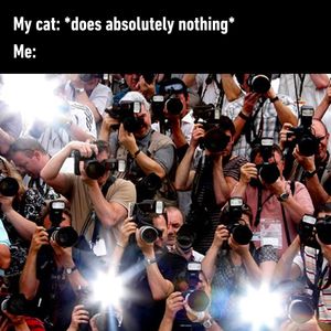 Image post by @9gag on Instagram