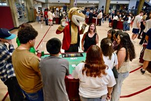 Image post by @wsupullman on Instagram