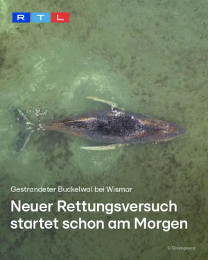 Image post by @rtlaktuell on TikTok