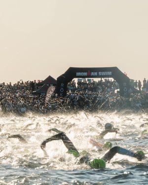 Image post by @ironmantri on Instagram
