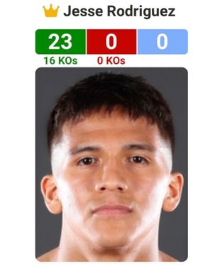 Image post by @boxingbully on Instagram