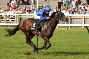 Image post by @godolphin on Instagram