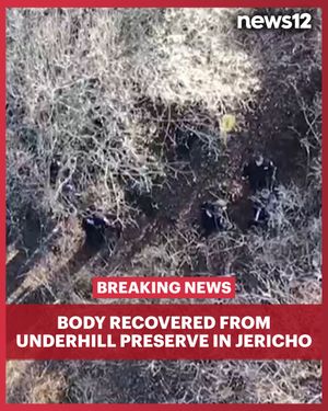 Image post by @news12li on Instagram