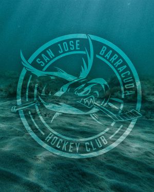 Image post by @sjbarracuda on Instagram