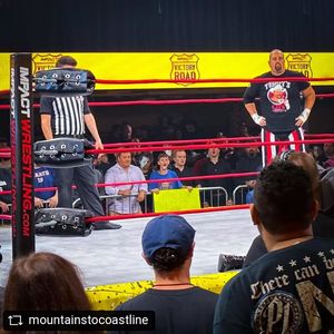 Image post by @thetommydreamer on Instagram