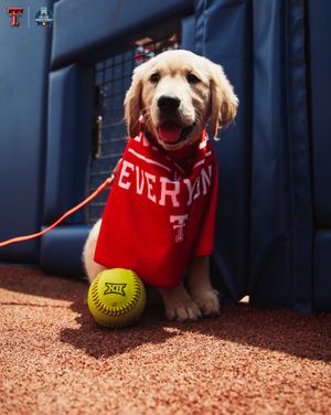 Image post by @texastechsb on Instagram