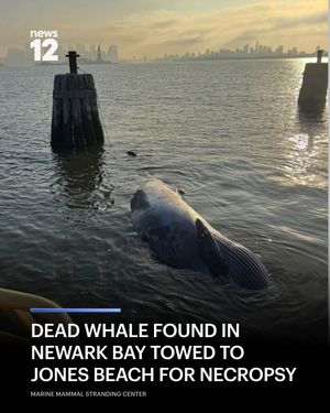 Image post by @news12li on Instagram
