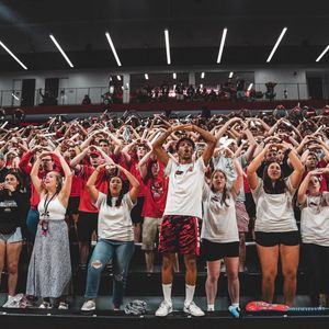 Image post by @ohiostatewvb on Instagram