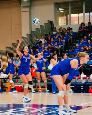 Image post by @au_volleyball on Instagram