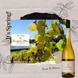 Image post by @vinolution_wines on Instagram