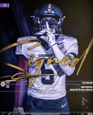 Image post by @catamountsfb on Instagram