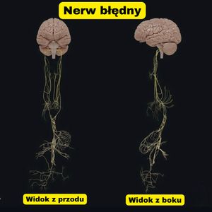 Image post by @neurochirurg_litak on Instagram