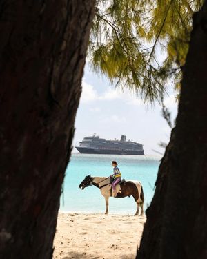 Image post by @hollandamericaline on Instagram