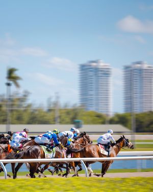 Image post by @pegasusworldcup on Instagram