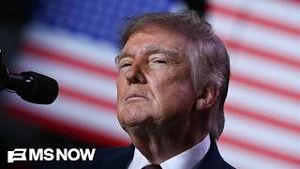 Video post by @msnbc on YouTube