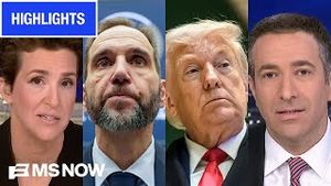 Video post by @msnbc on YouTube